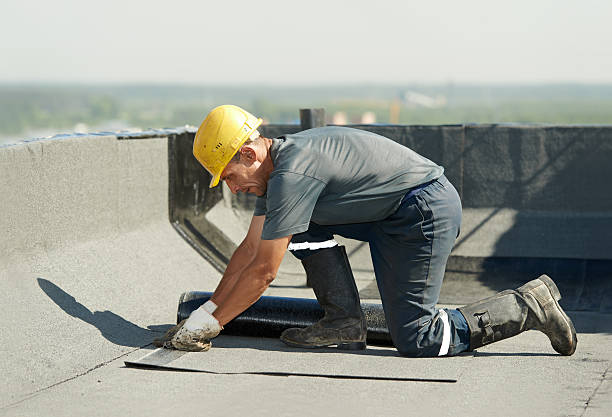 Vapor Barrier Installation in Seffner, FL